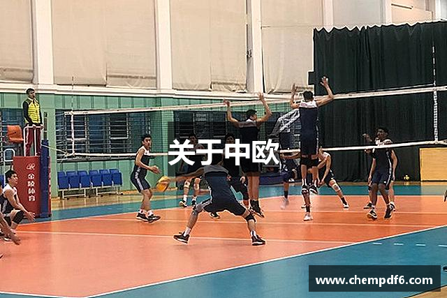 关于中欧